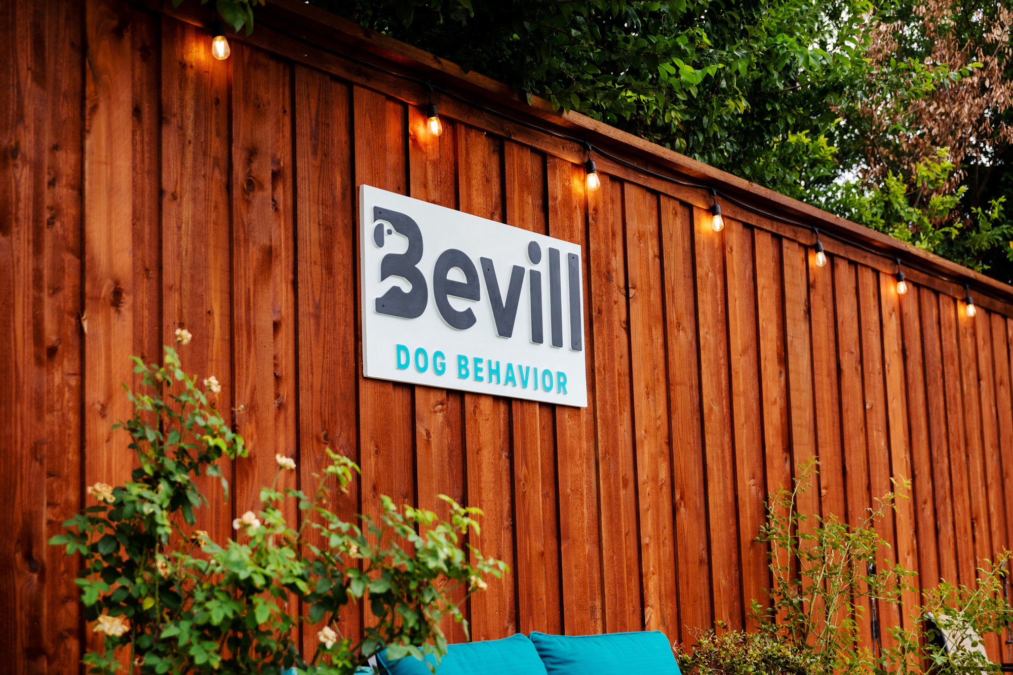Bevill Dog Behavior
