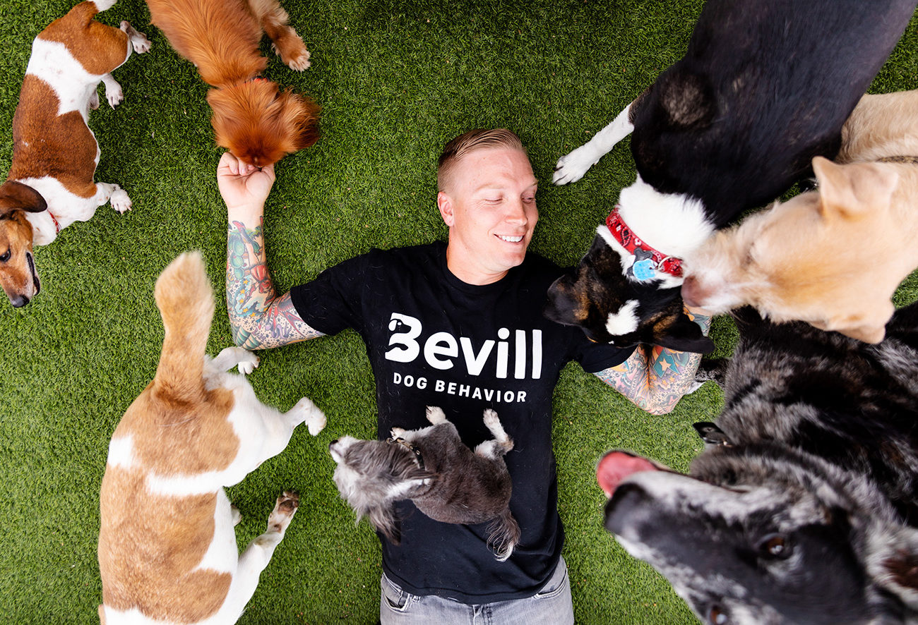 Dallas dog trainer Bevill Dog Behavior
