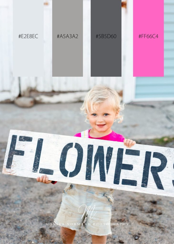 Pink Gray Brand Color Palette