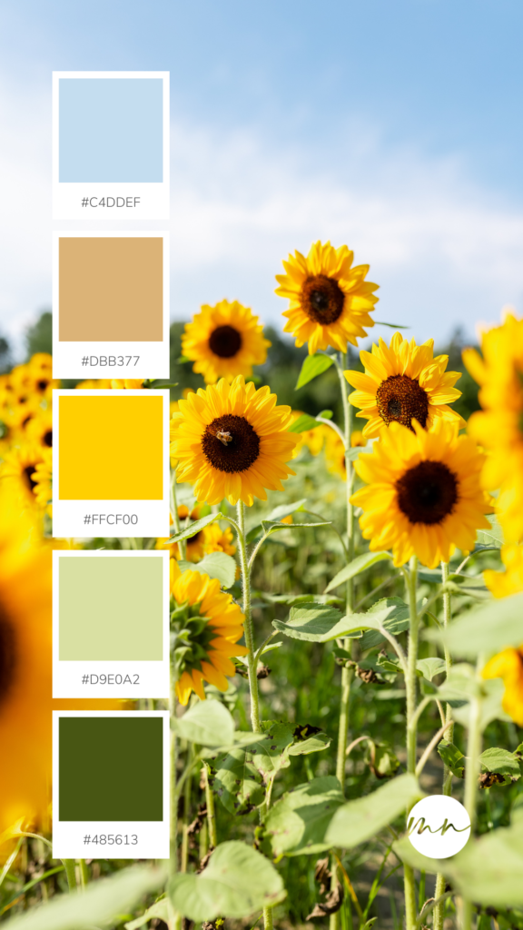 Sunflower Yellow Color Palette