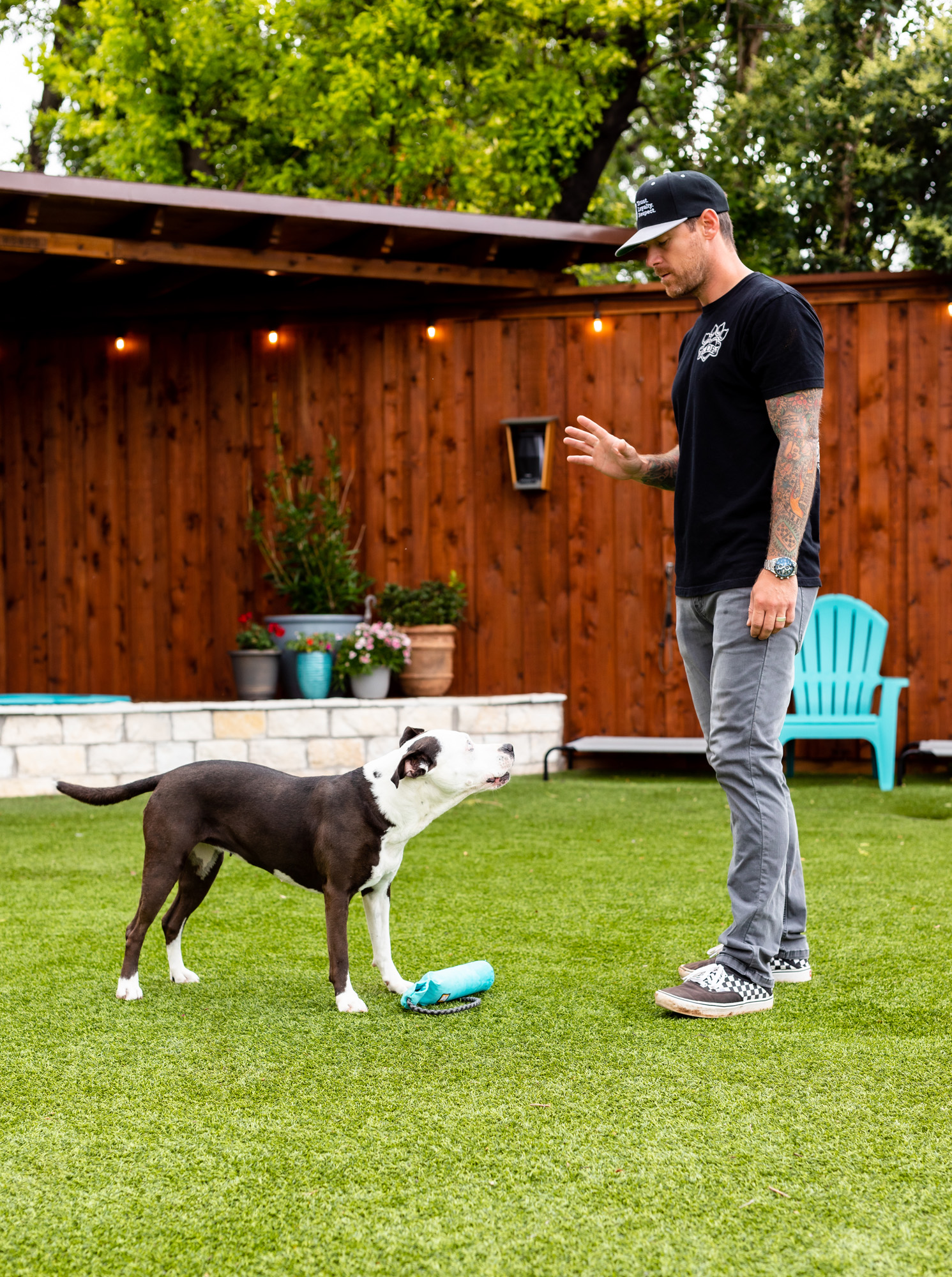 Bevill Dog Behavior Dallas Dog Trainer