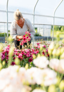 Massachusetts organic farmer and florist branding photography